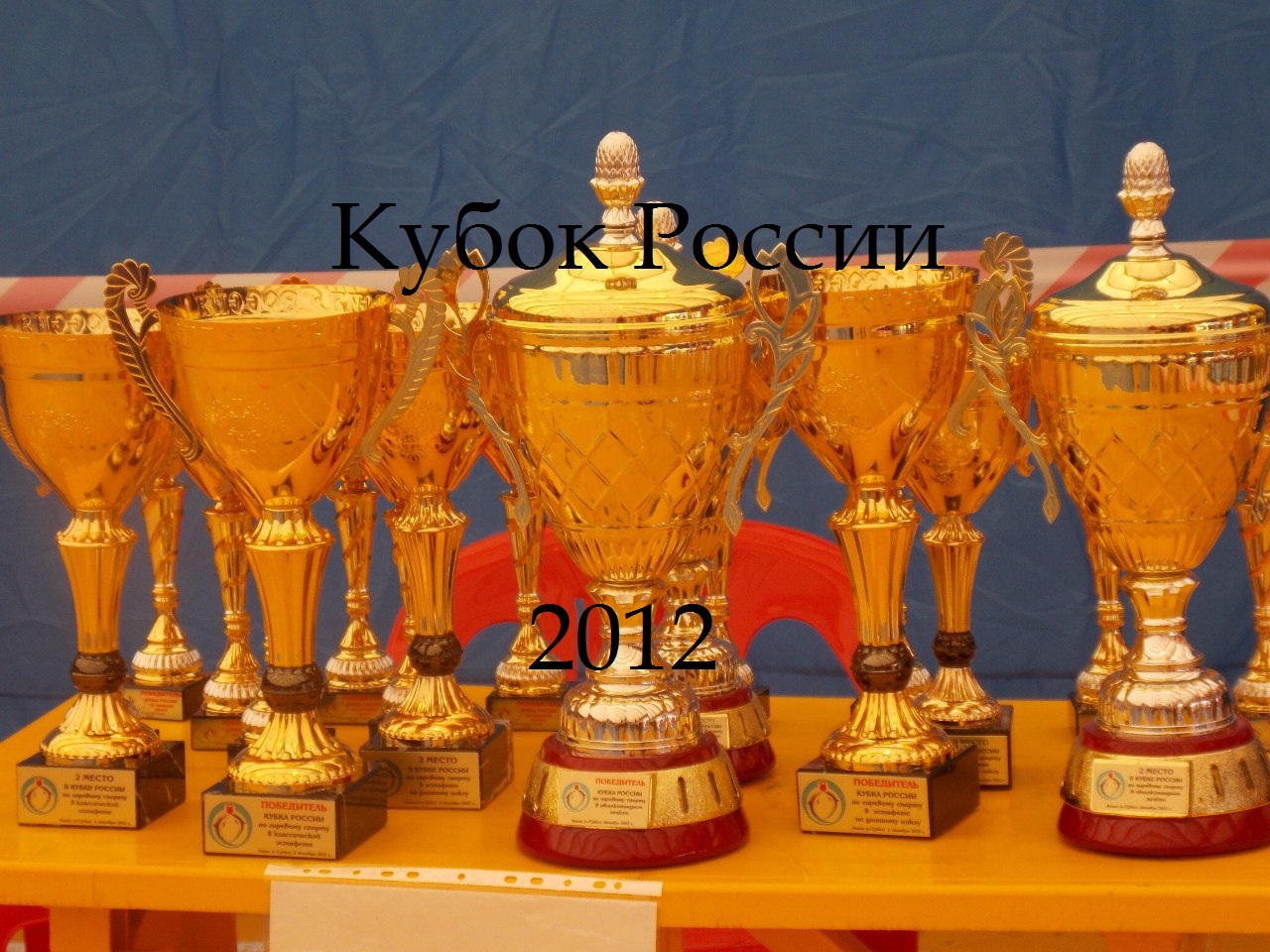 Выступление Брянских Гиревиков на Кубке России